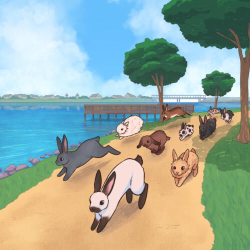Rabbit Fun Run